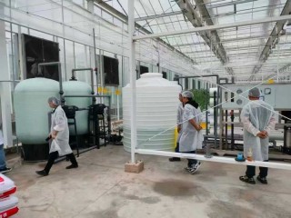 大棚水处理 10 吨 /h 反渗透净水机组