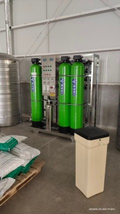 咸阳食品厂高硬度井水净化改造 1吨反渗透纯水设备应用案例